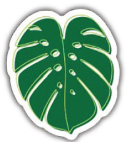 Monstera Tropical Plant Leaf Vinyl Sticker