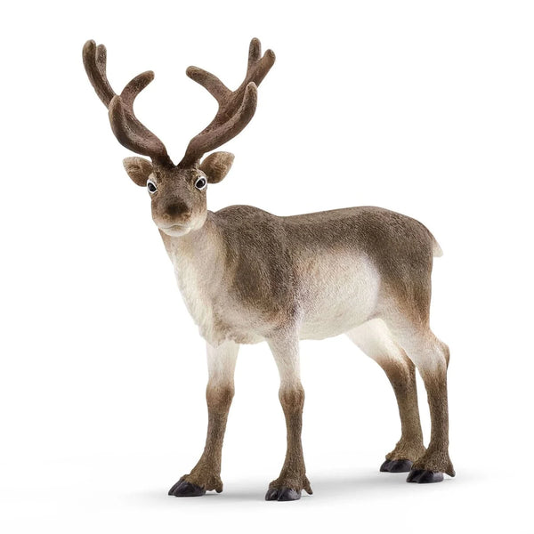 Reindeer - Schleich Animal Figure 14837
