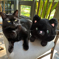 Mini Squishable Black Kitty