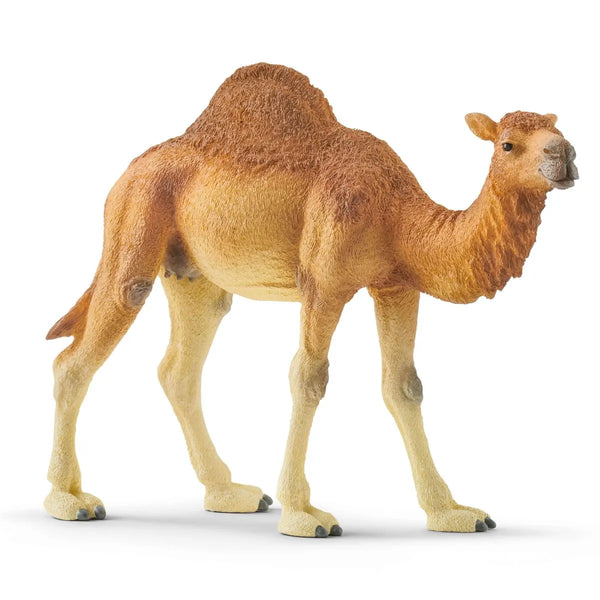Dromedary One Hump Camel  -14832 Schleich Animal Figure
