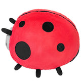 Squishable Ladybug II