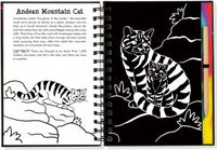 Wild Cats Scratch & Sketch